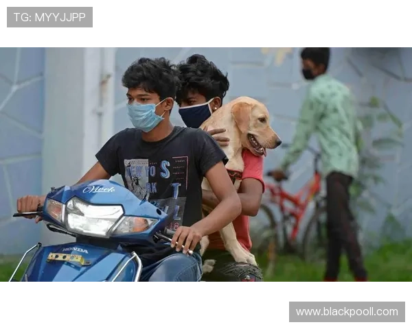 巴西足球明星卷入贩毒丑闻引发社会关注与舆论热议