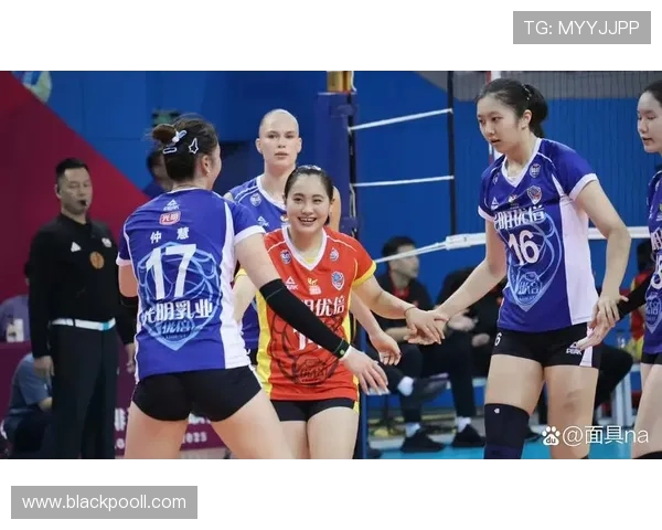 聚焦排球：上海排球队的耐力话题