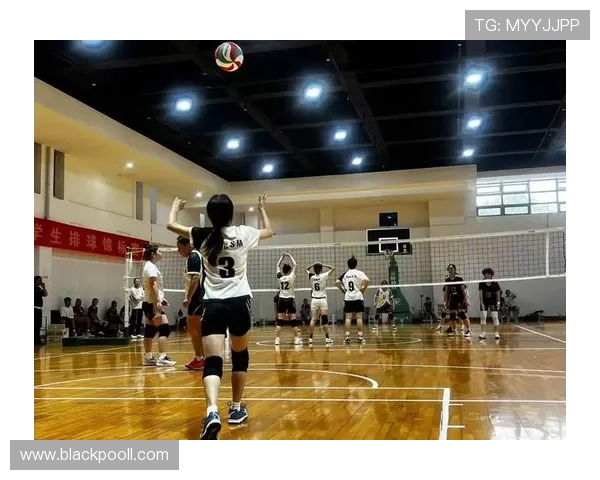 重庆排球队的个人能力揭秘:排球巨献背后的故事与训练秘诀