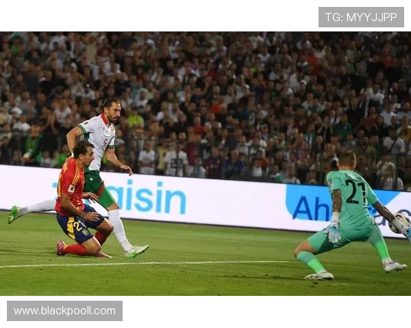 杭州足球队在世界杯预选赛中的战术分析与表现评估