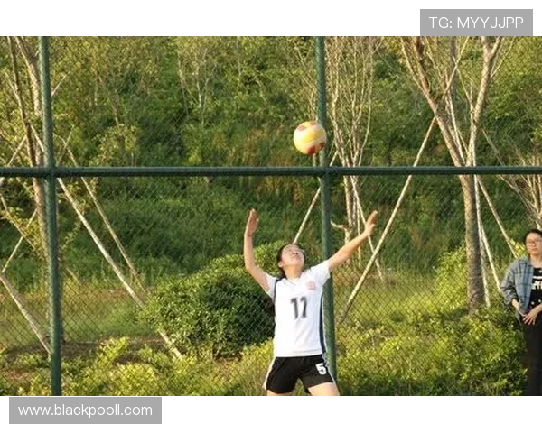 专访陈丽：探寻排球背后的成功秘诀与奋斗历程